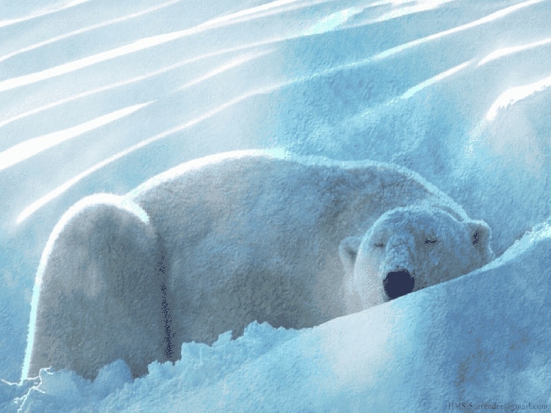 上海惜缘试管代生机构：怀二胎孕吐反应特大，和孕妇自身以及胎儿都有关